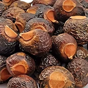 Boondhikottai