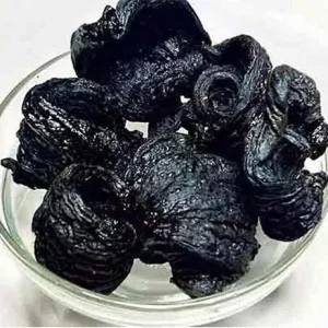 Kodampuli