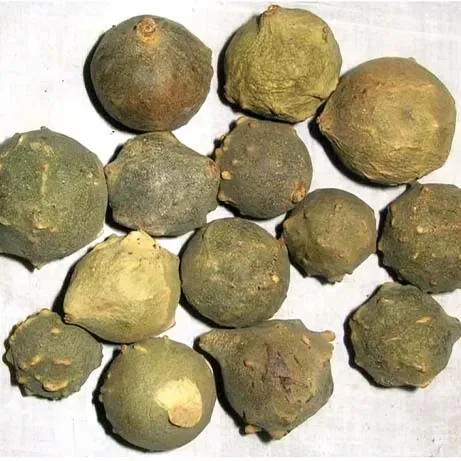 Masikai